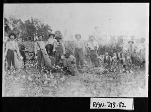 Sharecroppers