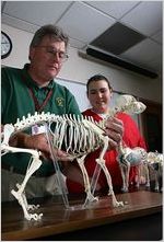 Veterinary Technician Program