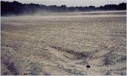 Fallow Field