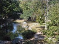 Springvale Park