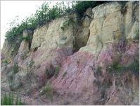 Coastal Plain Sediments