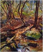 Stream in Wooded Landscape