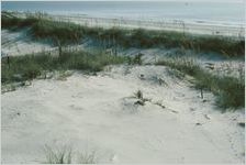 Jekyll Island