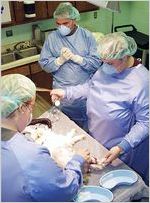 Fort Valley State University Veterinary Sciences