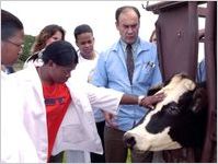 Fort Valley State University Veterinary Sciences