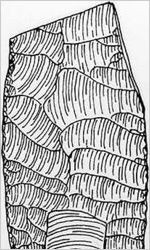 Macon Plateau Fluted Point