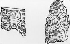 Clovis Points