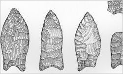 Suwannee Points