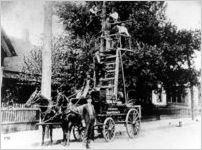 Horse-Drawn Line Truck