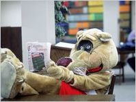 CSU Mascot
