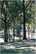 Grant Park