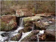 Broxton Rocks Ecological Preserve