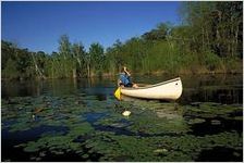 Magnolia Springs State Park