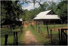 Jarrell Plantation Historic Site