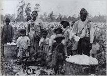 Enslaved Family