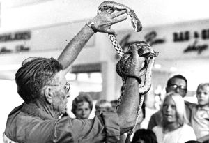 Rattlesnake Roundup