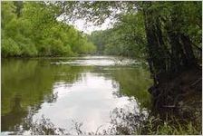 Ogeechee River