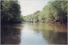 Coosa River