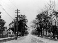 Valdosta Trolley Tracks