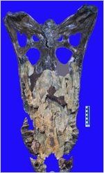 Giant Crocodylian
