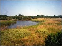 Ebos Landing