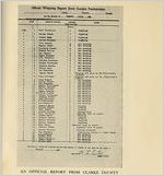 Whipping Report