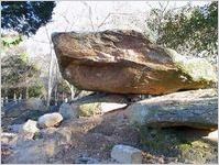 Granite Outcrop at Panola Mountain