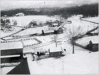 Jasper, 1880s