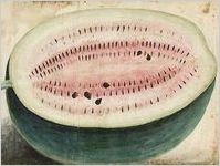 Water Melon