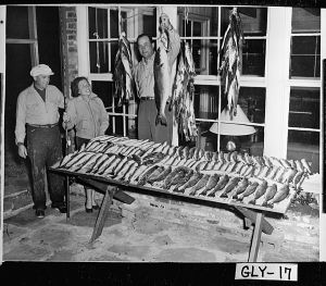 Fish Catch