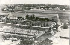 Georgia Experiment Station