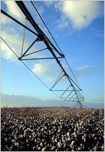Center-Pivot Irrigation