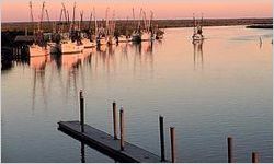 Altamaha River, Darien