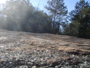 Panola Granite