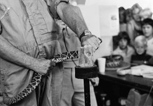 Rattlesnake Roundup
