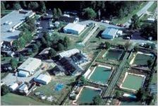 Savannah River Ecology Laboratory