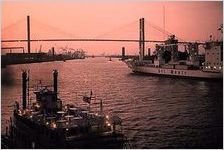 Savannah