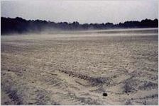 Soils