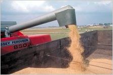 Soybeans