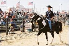 Sunbelt Agricultural Exposition