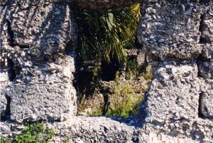 Tabby Ruins
