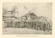 Turpentine Farm, near Savannah, Ga.