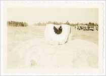 Photograph of a memorial, Sylvania, Georgia, 1947