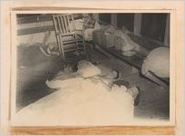 Photograph of boys in sleeping bags, Sylvania, Georgia, 1951