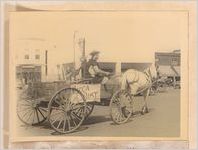 Photograph of a Shriner riding a horse-drawn cart in a local parade, Sylvania, Georgia, 1951