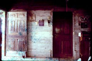 Harrison Austin Home