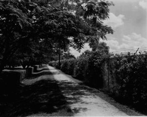 Callaway Mills