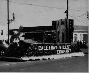Callaway Mills Product Displays