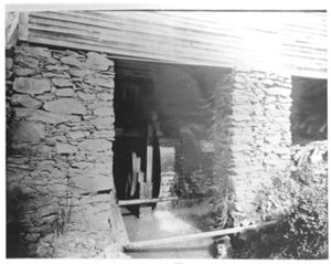 Salem Community Photos