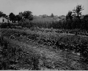 Mill Villages